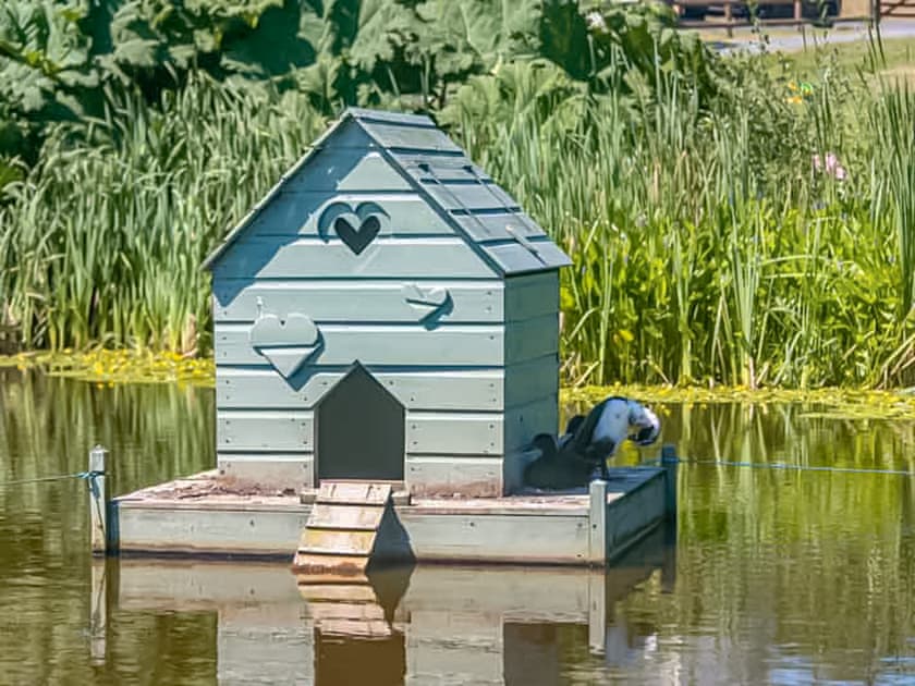 Outdoor | Frankaborough Farm Cottages - The i-Hut - Frankaborough Fram Cottages, Lifton