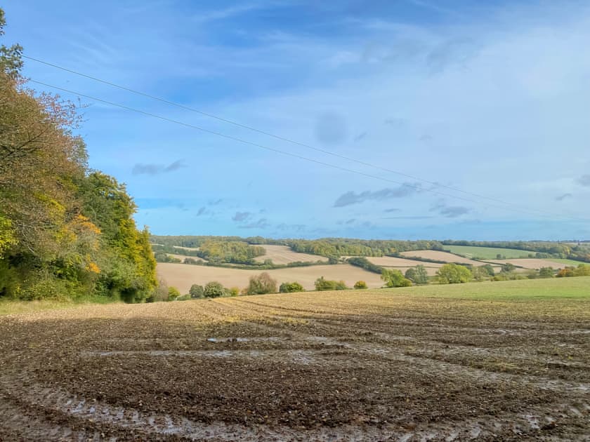 Surrounding area | Woodland Lodge, Great Missenden