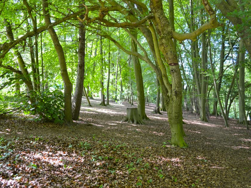 Surrounding area | The Bungalow Cottage, Horncastle