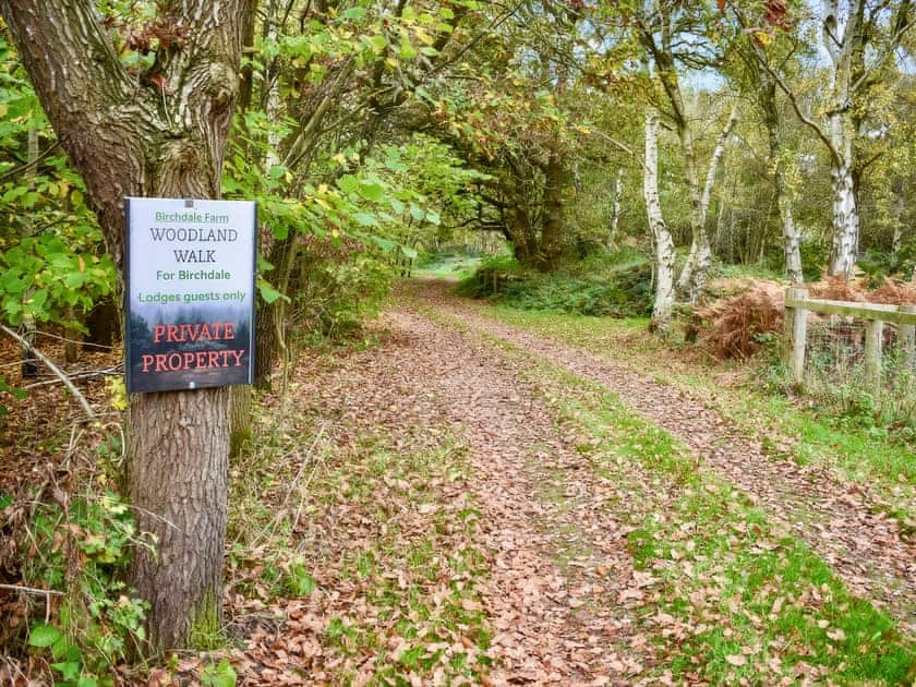 Surrounding area | Humphrey-Basil Lodge - Birchdale Lodges & Alpaca’s, Norton Disney, near Lincoln