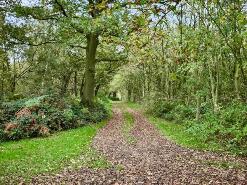 Surrounding area | Humphrey-Basil Lodge - Birchdale Lodges & Alpaca’s, Norton Disney, near Lincoln