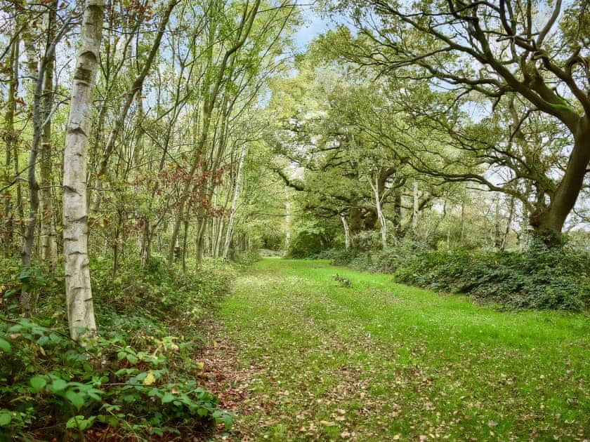 Surrounding area | Humphrey-Basil Lodge - Birchdale Lodges & Alpaca’s, Norton Disney, near Lincoln
