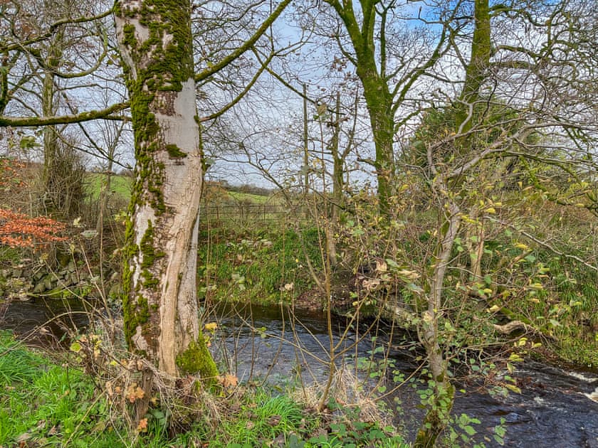 View | Holmbyre Glamping Pod 2 - Holmbyre Smithy, Dalry