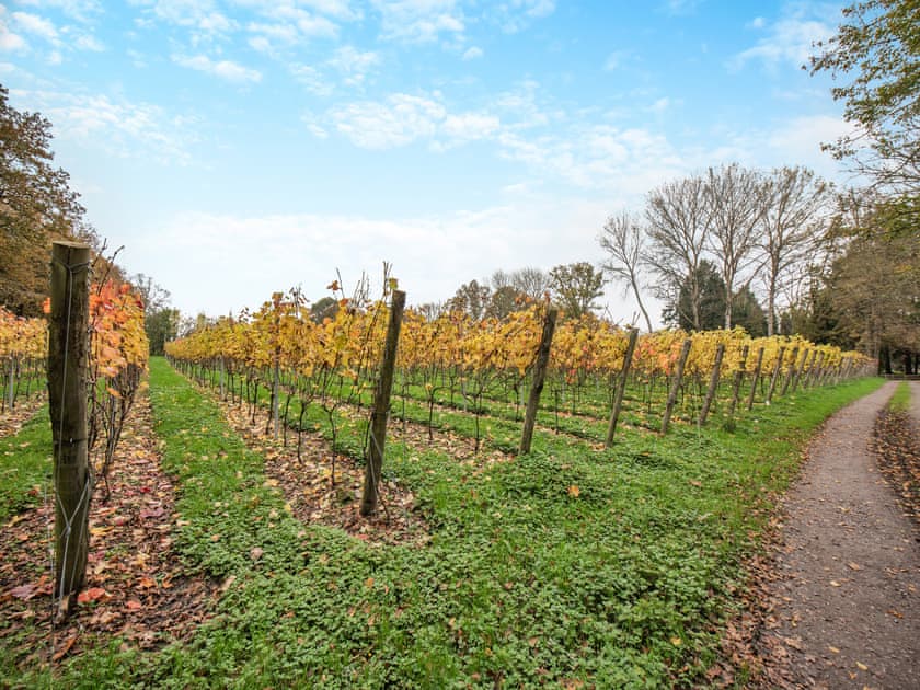 Outdoor area | Mousehall Oast, Wadhurst