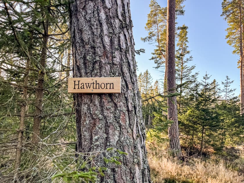 Surrounding area | Hawthorn - Cairngorm Bothies, Ballater