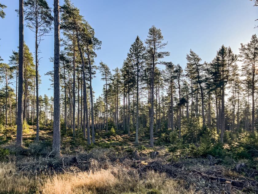 Surrounding area | Hawthorn - Cairngorm Bothies, Ballater