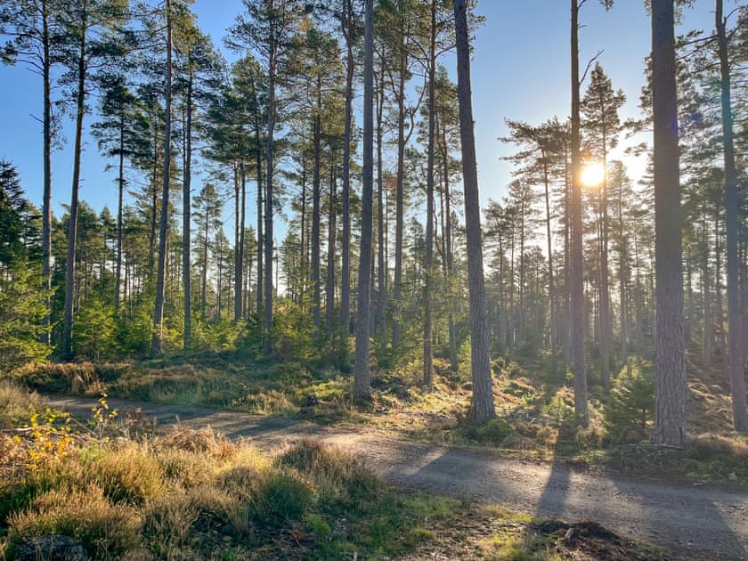 Surrounding area | Oak - Cairngorm Bothies, Ballater