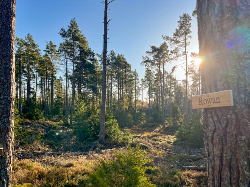 Surrounding area | Rowan - Cairngorm Bothies, Ballater