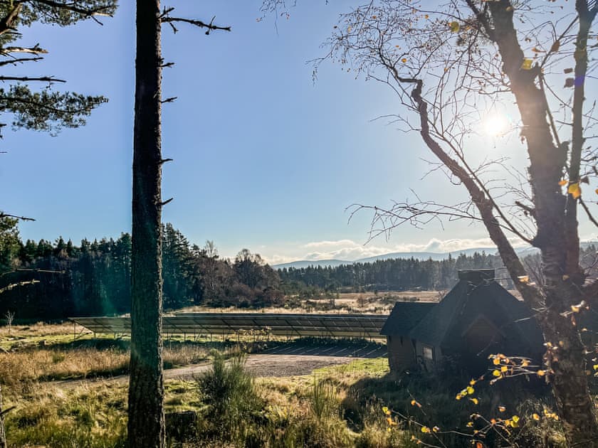 Surrounding area | Birch - Cairngorm Bothies, Ballater