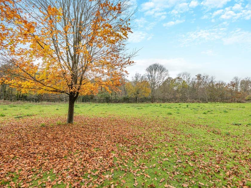 Surrounding area | Bohemia Cottage, Tunbridge Wells