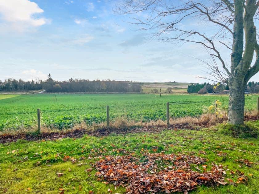 View | Barn Owl Cabin - Redroofs Retreats, Forfar
