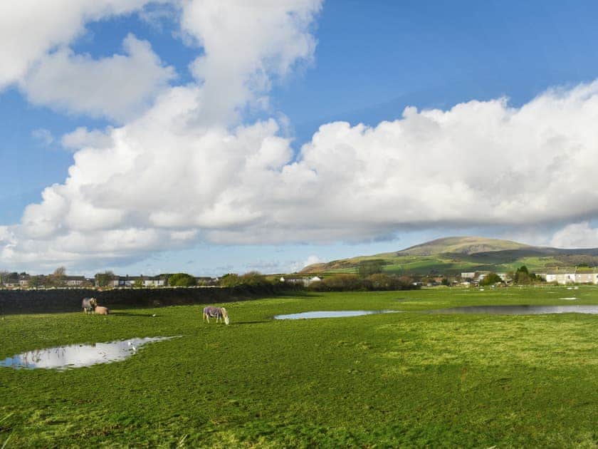 Surrounding area | Cookies Corner, Millom