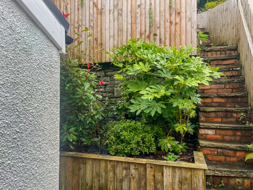 Garden | Hill View, ABERTILLERY