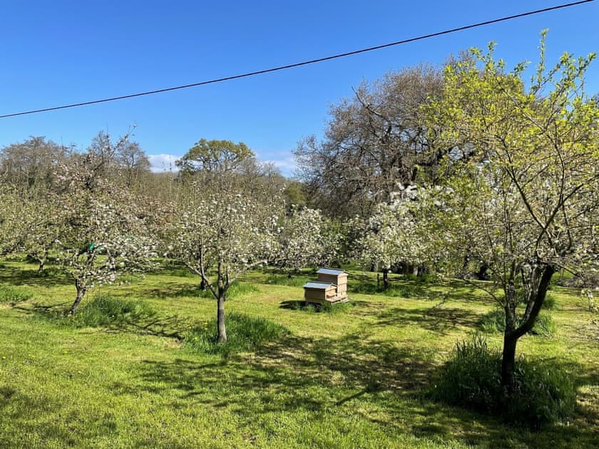 Garden | The Coach House Annexe - Malpas Retreats, Tilston, near Malpas