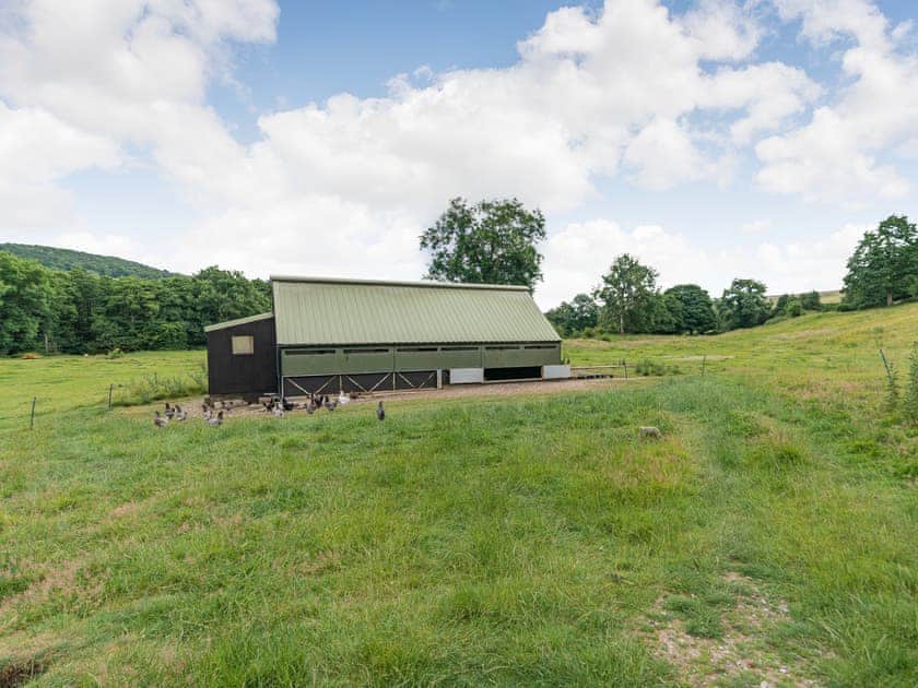 Garden and grounds | Haystack Haven - Carr View Farm, Hope Valley