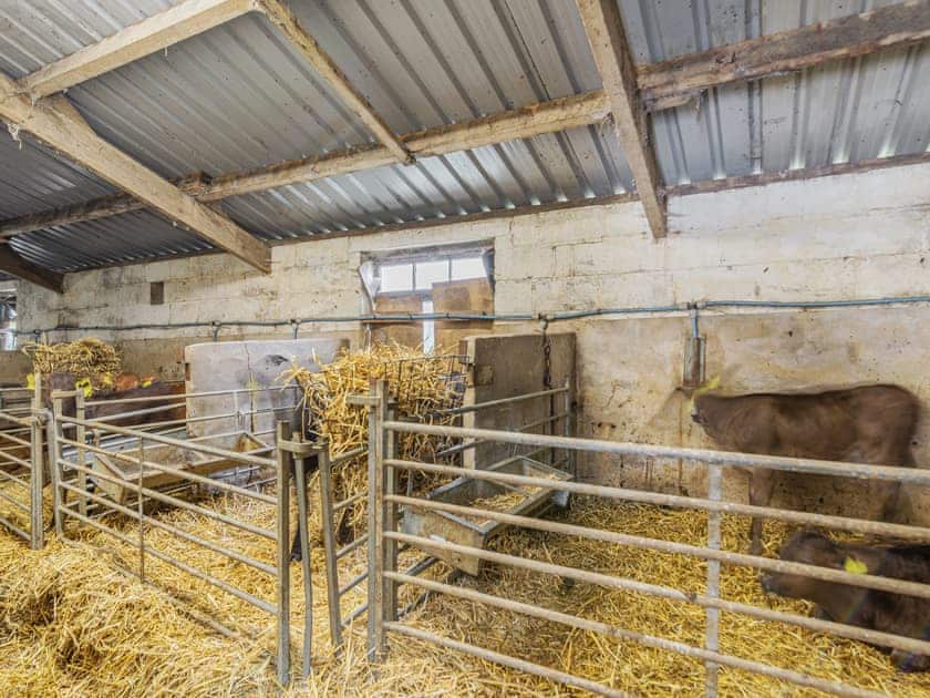 Garden and grounds | Haystack Haven - Carr View Farm, Hope Valley