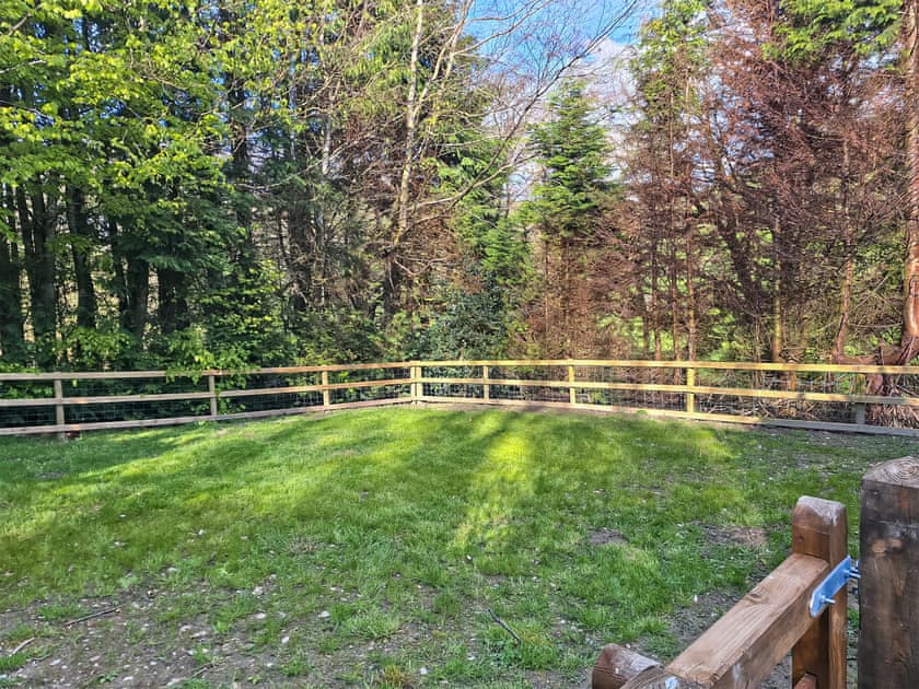 Enclosed dog exercise area  | Glen Y Nant, New Radnor, near Presteigne