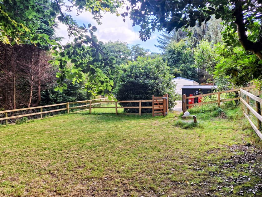 Enclosed dog exercise area  | Glen Y Nant, New Radnor, near Presteigne