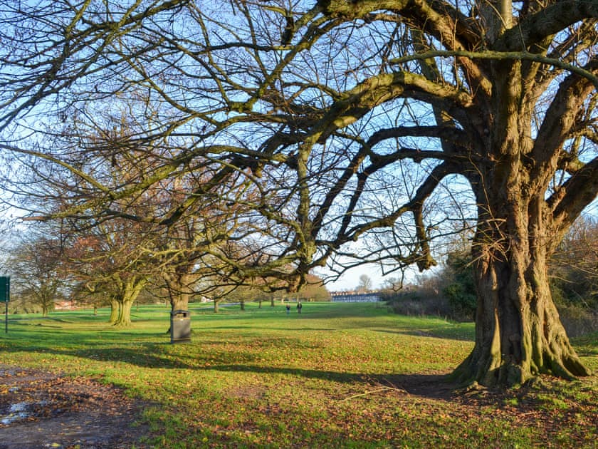 Surrounding area | Willow Cottage, Beverley