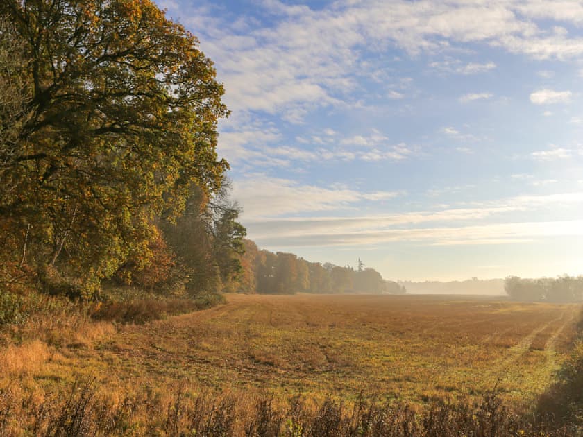 Surrounding area | Taymount Cottage, Caputh