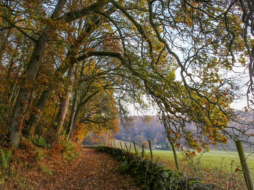 Surrounding area | Taymount Cottage, Caputh