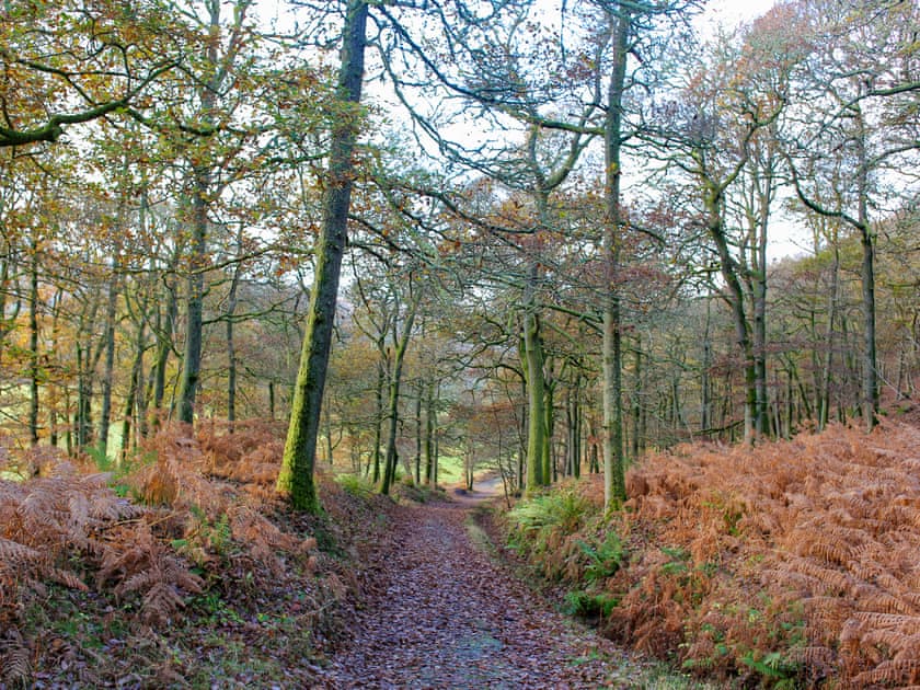 Surrounding area | Taymount Cottage, Caputh