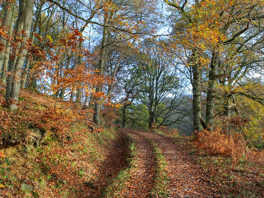 Surrounding area | Taymount Cottage, Caputh
