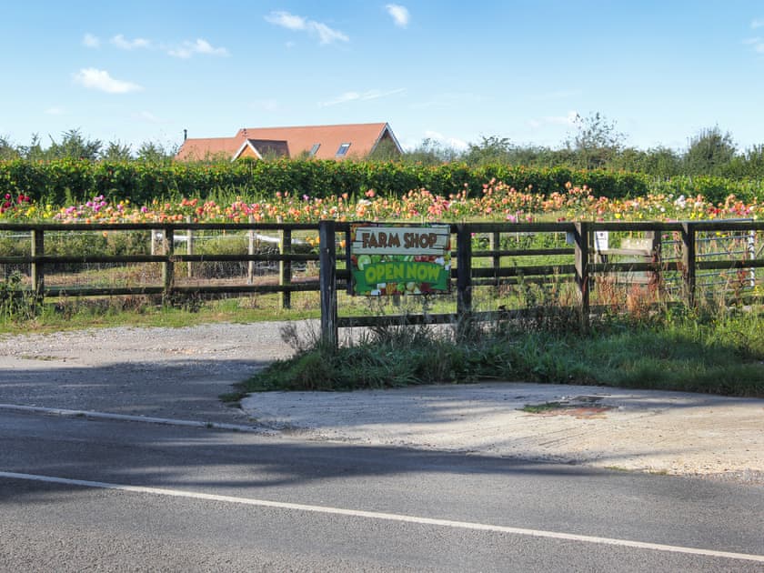 Surrounding area | The Lodge, Pulborough, near Arundel