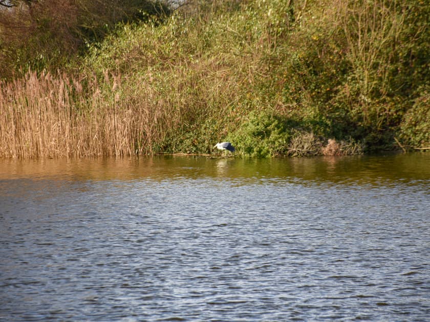 View | Pinewood, Brundall