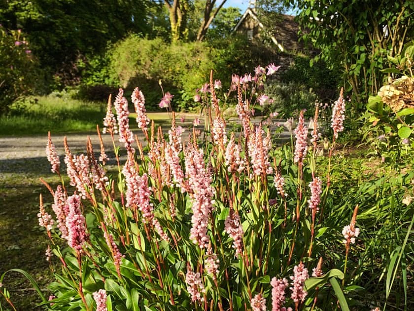 Surrounding area | Brewhouse - Glynhir Estate, Llandybie