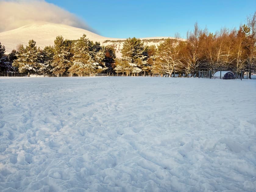 Surrounding area | Woodside Cottage, Nether Bellandy, Glenrinnes, near Keith
