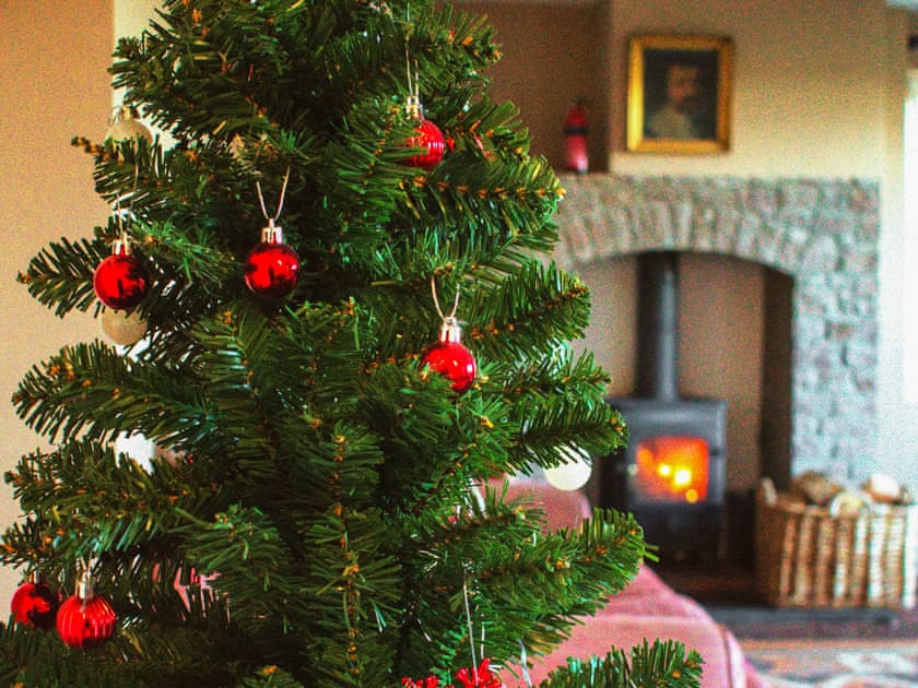 Christmas | Mount Pleasant, St Weonards