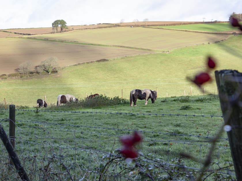 Surrounding area | Hayloft - Summercourt Cottages, Looe