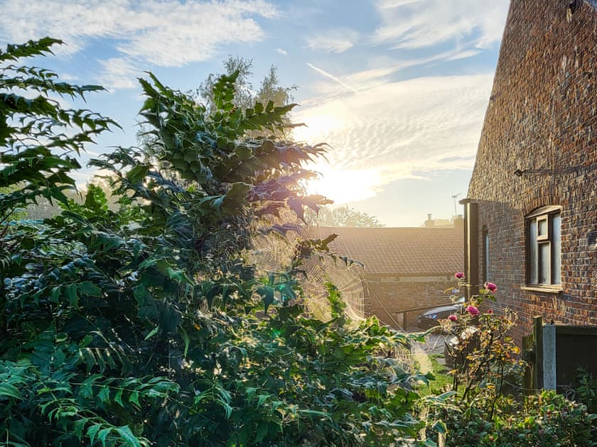 Surrounding area | Elm Barn View - Elm Barn, Freethorpe