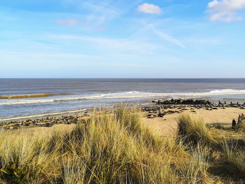 See the seals on Horsey Gap beach | Elm Barn View - Elm Barn, Freethorpe