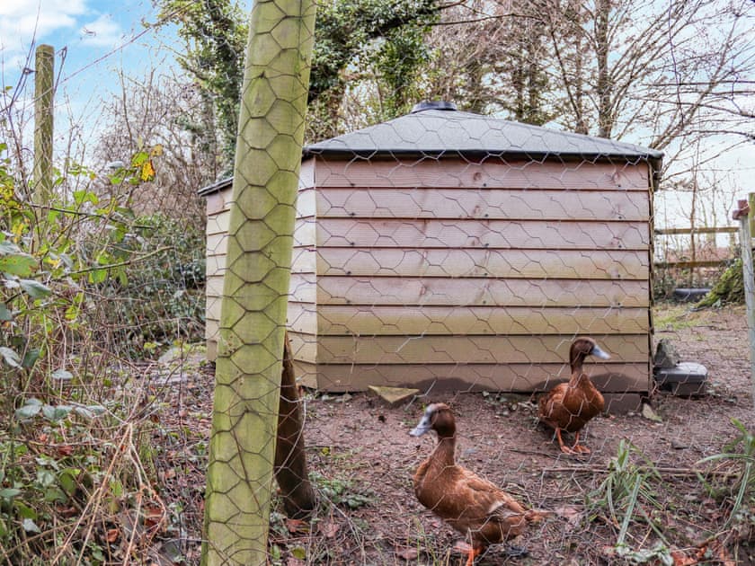 Surrounding area | Shepherds Hut One - Island Hut Retreats, Rhosmeirch, near Benllech