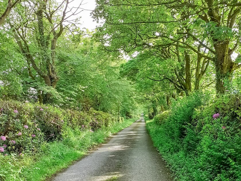 Surrounding area | Brynog Mansion Apartment, Lampeter