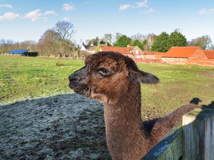Surrounding area | The Foldyard - Manor Farm Properties, Cranswick, near Driffield
