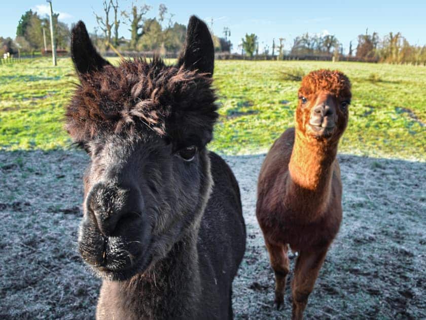 Surrounding area | The Foldyard - Manor Farm Properties, Cranswick, near Driffield