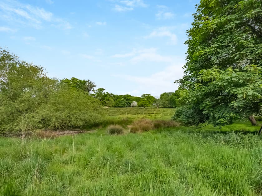 Surrounding area | Orchard Barn, Thurlton