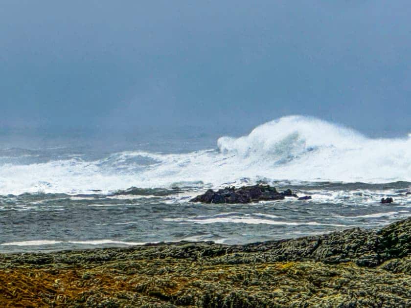 Surrounding area | Burnside Cottage, Isle of Islay