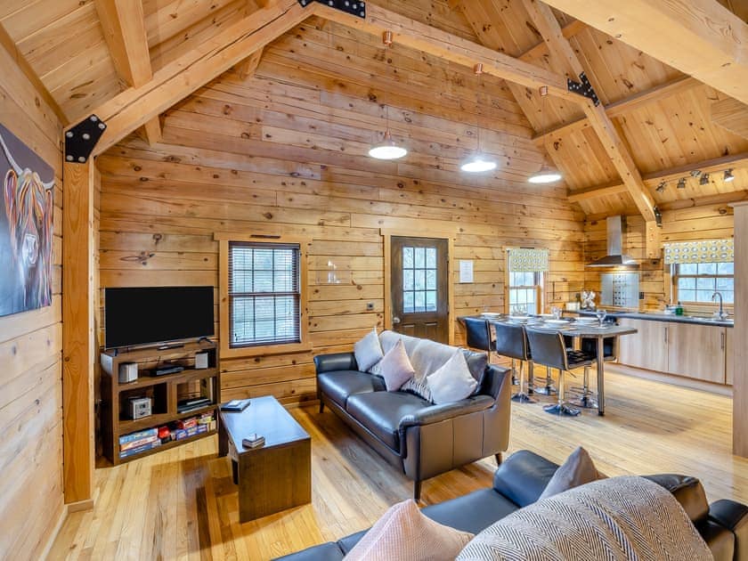 Living area | Willow Lodge - Waterside Lodges, Keal Cotes