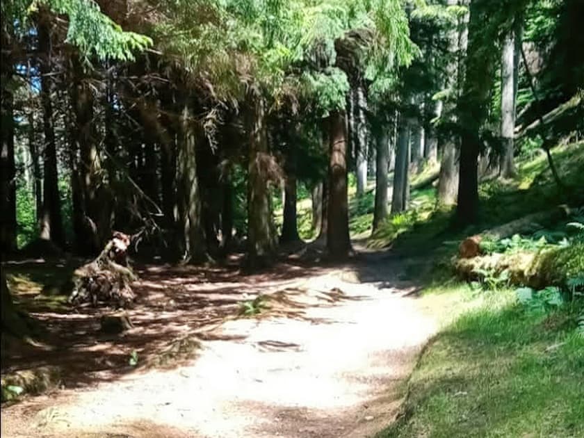 Surrounding area | Grouse Lodge, Dunoon