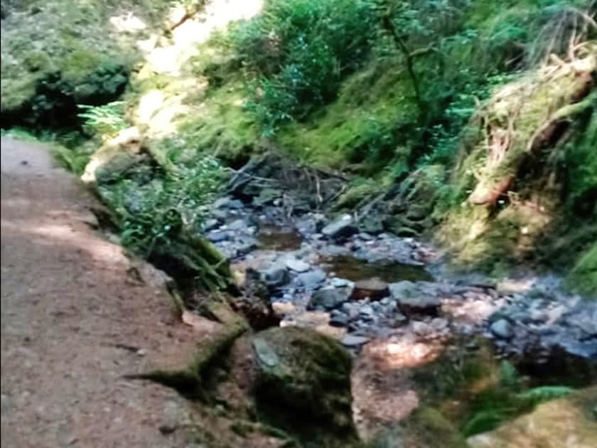 Surrounding area | Grouse Lodge, Dunoon