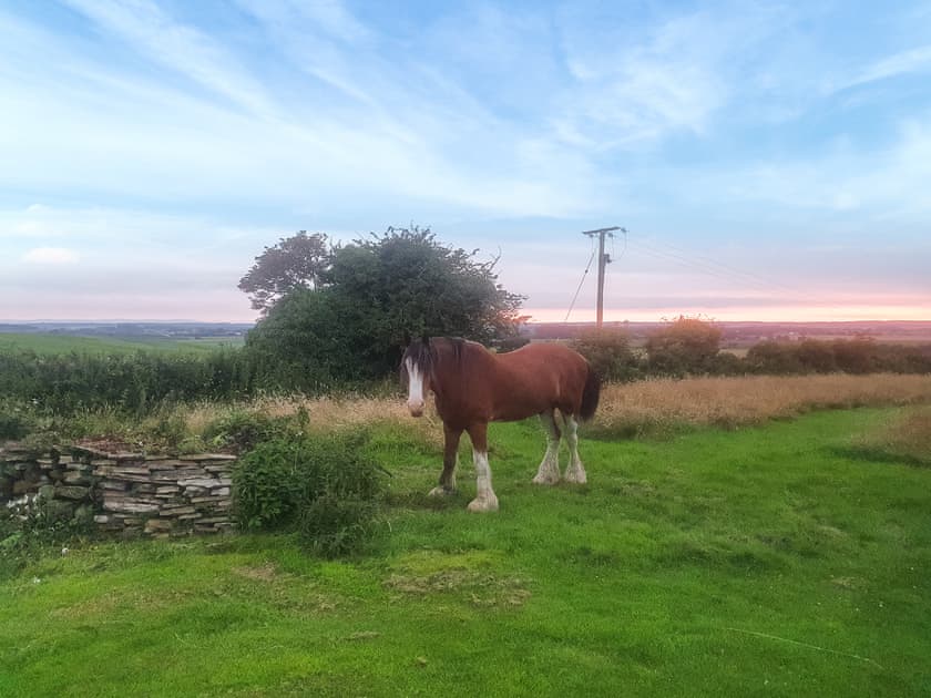Surrounding area | Sunset Cabin, Ormskirk