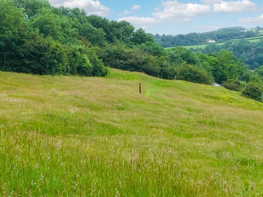 The paddock | The Lodge, Dyserth, near Prestatyn