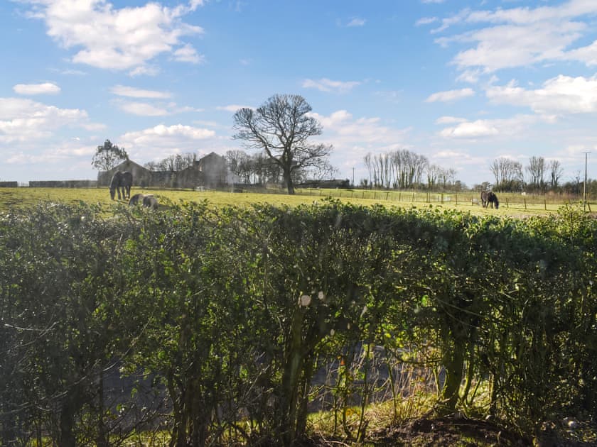 View | Meadows View Shepherd’s hut, Cockermouth