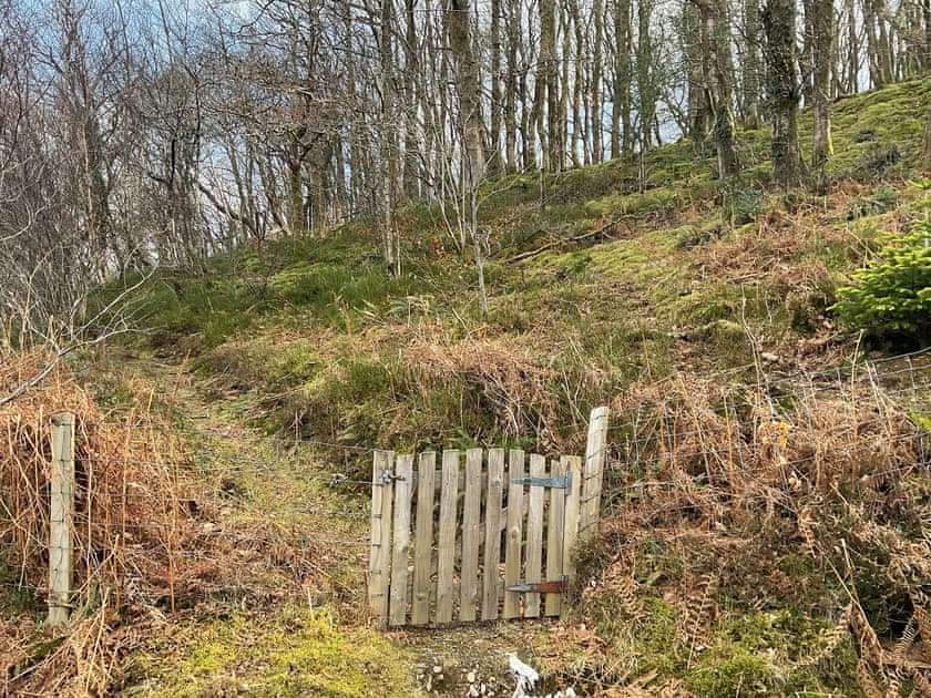 Gate entry to viewpoint by cabin | The Cabin In The Woods - Tanyrallt Holidays Lets, Llanybydder, near Lampeter