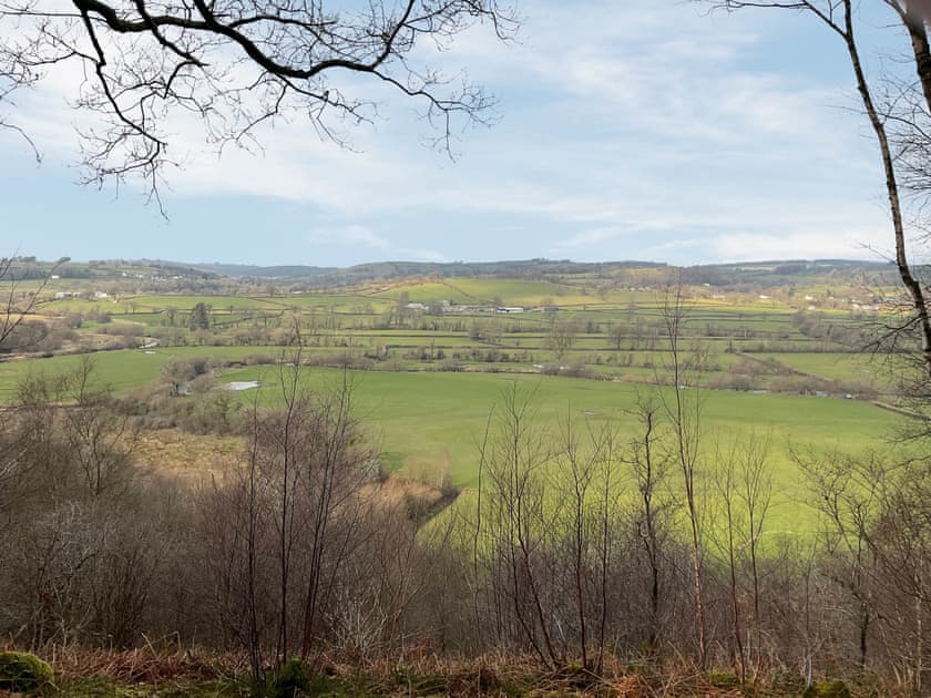 Viewpoint scene | The Cabin In The Woods - Tanyrallt Holidays Lets, Llanybydder, near Lampeter