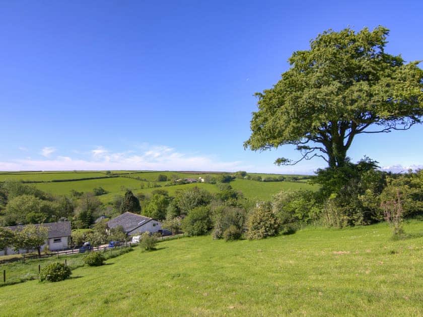 Dog exercise field | Linney Cottage - Fox Valley Cottages, Looe